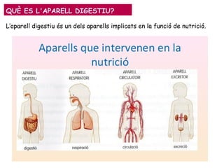 L’aparell digestiu és un dels aparells implicats en la funció de nutrició.
QUÈ ES L'APARELL DIGESTIU?
 