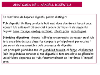 QUÈ ES L'APARELL DIGESTIU?
En l’anatomia de l’aparell digestiu podem distingir:
Tub digestiu: Un llarg conducte buit amb dues obertures: boca i anus.
Aquest tub està molt diferenciat i podem distingir-hi els següents
òrgans: boca, faringe, esòfag, estómac, intestí prim i intestí gros.
Glàndules digestives: òrgans i cèl·lules encarregats de vessar en el tub
tota una sèrie de sucs digestius composts principalment per enzims i
que seran els responsables dels processos de digestió.
Les principals glàndules són les glàndules salivals, el fetge, el pàncrees
(són les glàndules annexes al tub digestiu) i tota una sèrie de glàndules
unicel·lulars disperses pel tub, fonamentalment en l'estómac i l'intestí
prim.
ANATOMIA DE L'APARELL DIGESTIU
 
