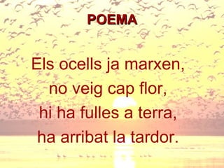 POEMA Els ocells ja marxen, no veig cap flor, hi ha fulles a terra, ha arribat la tardor. 