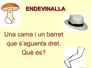 Una cama i un barret que s’aguanta dret. Què és? ENDEVINALLA 