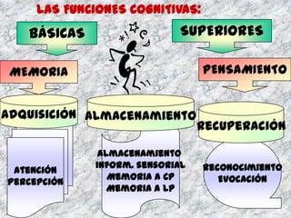 LAS FUNCIONES COGNITIVAS:
   BÁSICAS                  SUPERIORES

 MEMORIA                         PENSAMIENTO


Adquisición Almacenamiento
                                 Recuperación

              Almacenamiento
             inform. sensorial   Reconocimiento
 Atención
                Memoria a CP        Evocación
Percepción
                Memoria a LP
 