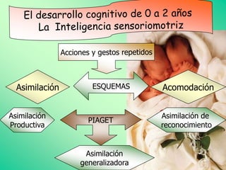 Asimilación      ESQUEMAS      Acomodación


Asimilación                      Asimilación de
Productiva                       reconocimiento


                 Asimilación
                generalizadora
 
