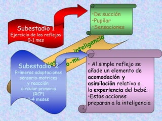 •De succión
                             •Pupilar
   Subestadio 1              •Sensaciones
Ejercicio de los reflejos
        0-1 mes




   Subestadio 2             • Al simple reflejo se
  Primeras adaptaciones     añade un elemento de
    sensorio-motrices       acomodación y
        y reacción          asimilación relativo a
     circular primaria      la experiencia del bebé.
           (RCP)
         1-4 meses
                            •Estas acciones
                            preparan a la inteligencia
 
