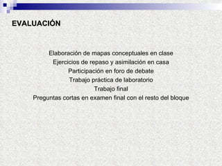 EVALUACIÓN Elaboración de mapas conceptuales en clase Ejercicios de repaso y asimilación en casa Participación en foro de debate Trabajo práctica de laboratorio Trabajo final Preguntas cortas en examen final con el resto del bloque 