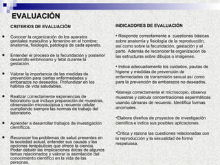 EVALUACIÓN CRITERIOS DE EVALUACIÓN Conocer la organización de los aparatos genitales masculino y femenino en el hombre: anatomía, fisiología, patología de cada aparato. Entender el proceso de la fecundación y posterior desarrollo embrionario y fetal durante la gestación. Valorar la importancia de las medidas de prevención para ciertas enfermedades y embarazos no deseados. Profundizar en los hábitos de vida saludables. Realizar correctamente experiencias de laboratorio que incluya preparación de muestras, observación microscópica y recuento celular cumpliendo siempre las normas de trabajo del laboratorio. Aprender a desarrollar trabajos de investigación científicos. Reconocer los problemas de salud presentes en la sociedad actual, entender sus causas y las opciones terapéuticas que ofrece la ciencia. Poder debatir las implicaciones éticas de algunos temas relacionados y valorar la asimilación del conocimiento científico en la vida de las personas. INDICADORES DE EVALUACIÓN Responde correctamente a  cuestiones básicas sobre anatomía y fisiología de la reproducción, así como sobre la fecundación, gestación y el parto. Además de reconocer la organización de las estructuras sobre dibujos o imágenes. Indica adecuadamente los cuidados, pautas de higiene y medidas de prevención de enfermedades de transmisión sexual así como para la prevención de embarazos no deseados. Maneja correctamente el microscopio, observa muestras y calcula concentraciones espermáticas usando cámaras de recuento. Identifica formas anormales. Elabora diseños de proyectos de investigación científica e indica sus posibles aplicaciones. Critica y razona las cuestiones relacionadas con la reproducción y la sexualidad de forma respetuosa. 
