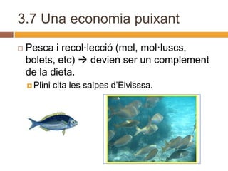 3.7 Una economia puixant
   Pesca i recol·lecció (mel, mol·luscs,
    bolets, etc)  devien ser un complement
    de la dieta.
     Plini   cita les salpes d’Eivisssa.
 