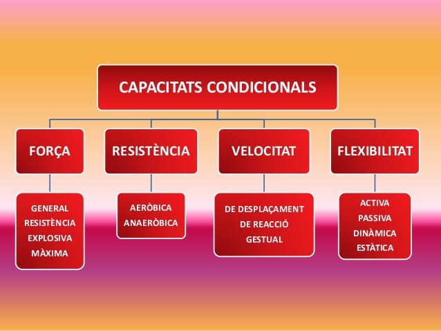 Resultado de imagen de qualitats fisiques basiques