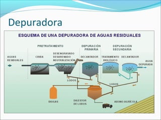 Depuradora
 