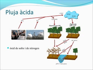 Pluja àcida




 òxid de sofre i de nitrogen
 