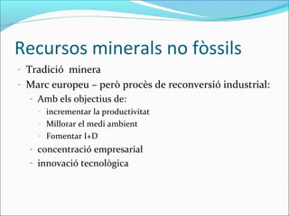 Recursos minerals no fòssils
- Tradició minera
- Marc europeu – però procès de reconversió industrial:
  - Amb els objectius de:
    -   incrementar la productivitat
    -   Millorar el medi ambient
    -   Fomentar I+D
  - concentració empresarial
  - innovació tecnològica
 