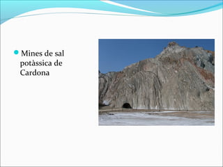 Mines de sal
 potàssica de
 Cardona
 