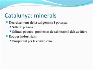 Catalunya: minerals
Decreixement de la sal gemma i potassa.
  Sallent: potassa.
  Salines: poques i problemes de salinització dels aqüífers
Roques industrials:
  Prosperitat per la construcció
 