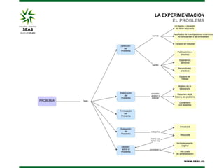 LA EXPERIMENTACIÓN
EL PROBLEMA

 