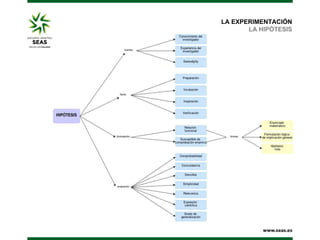 LA EXPERIMENTACIÓN
LA HIPÓTESIS

 