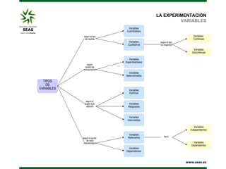 LA EXPERIMENTACIÓN
VARIABLES

 