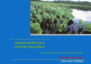 UNIDAD DIDÁCTICA 4:
ESPECIES INVASORAS
Lina Soler Esteban
1º GS GESTIÓN FORESTAL Y DEL MEDIO NATURAL
BOTÁNICA AGRONÓMICA
 