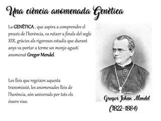 La GENÈTICA , que aspira a comprendre el
procés de l'herència, va néixer a finals del segle
XIX, gràcies als rigorosos estudis que durant
anys va portar a terme un monjo agustí
anomenat Gregor Mendel.
Una ciència anomenada GenèticaUna ciència anomenada Genètica
Les lleis que regeixen aquesta
transmissió, les anomenades lleis de
l'herència, són universals per tots els
éssers vius.
 