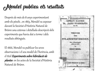 Mendel publica els resultatsMendel publica els resultats
Després de més de 8 anys experimentant
amb els pèsols , en 1865, Mendel va exposar
davant la Societat d'Història Natural de
Brünn una extensa i detallada descripció dels
experiments que havia dut a terme i dels
resultats obtinguts.
El 1866, Mendel va publicar les seves
observacions i el seu model de l'herència, amb
el títol Experiments sobre hibridació de
plantes en les actes de la Societat d'Història
Natural de Brünn.
 