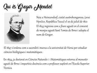 Qui és Gregor MendelQui és Gregor Mendel
En 1854, ja doctorat en Ciències Naturals i i Matemàtiques retorna al monestir
agustí de Brno i imparteix docència com a professor suplent en l'Escola Superior
Tècnica.
Neix a Heinzendorf, ciutat austrohongaresa, (avui
Hynčice, República Txeca) el 20 de juliol de 1822
El 1843 ingressa com a frare agustí en el convent
de monjos agustí Sant Tomàs de Brno i adopta el
nom de Gregor.
El 1847 s'ordena com a sacerdot i marxa a la universitat de Viena per estudiar
ciències biològiques i matemàtiques.
 
