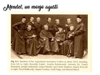 Mendel, un monjo agustíMendel, un monjo agustí
 