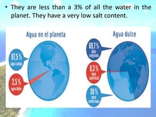 • They are less than a 3% of all the water in the
planet. They have a very low salt content.
 