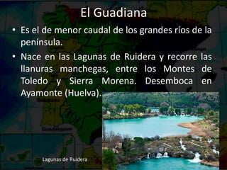 El Guadiana
• Es el de menor caudal de los grandes ríos de la
península.
• Nace en las Lagunas de Ruidera y recorre las
llanuras manchegas, entre los Montes de
Toledo y Sierra Morena. Desemboca en
Ayamonte (Huelva).
Lagunas de Ruidera
 