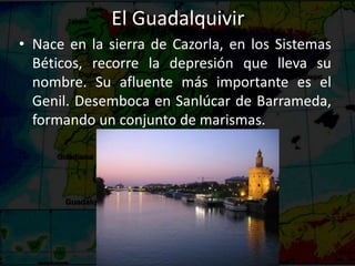 El Guadalquivir
• Nace en la sierra de Cazorla, en los Sistemas
Béticos, recorre la depresión que lleva su
nombre. Su afluente más importante es el
Genil. Desemboca en Sanlúcar de Barrameda,
formando un conjunto de marismas.
 