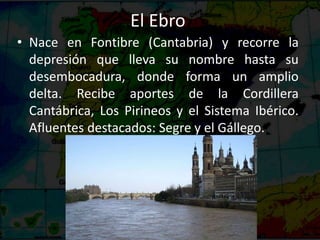 El Ebro
• Nace en Fontibre (Cantabria) y recorre la
depresión que lleva su nombre hasta su
desembocadura, donde forma un amplio
delta. Recibe aportes de la Cordillera
Cantábrica, Los Pirineos y el Sistema Ibérico.
Afluentes destacados: Segre y el Gállego.
 