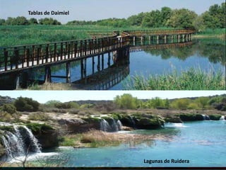 Tablas de Daimiel
Lagunas de Ruidera
 