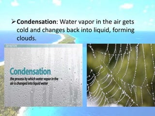 Condensation: Water vapor in the air gets
cold and changes back into liquid, forming
clouds.
 