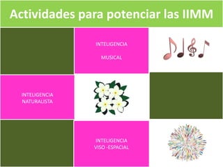Actividades para potenciar las IIMM
INTELIGENCIA
NATURALISTA
INTELIGENCIA
MUSICAL
INTELIGENCIA
VISO -ESPACIAL
 