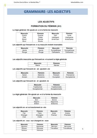 Carolina García Mora- Le Baobab Bleu ® lebaobabbleu.com
5
GRAMMAIRE- LES ADJECTIFS
 