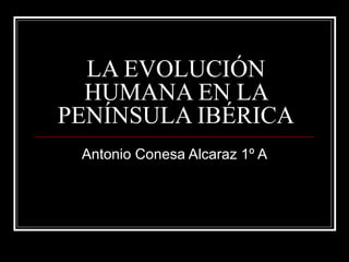 LA EVOLUCIÓN HUMANA EN LA PENÍNSULA IBÉRICA Antonio Conesa Alcaraz 1º A 