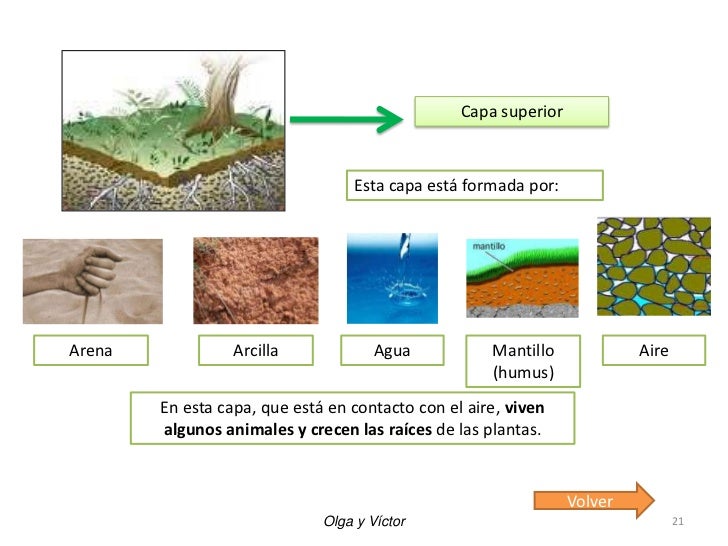 Unidad 4. Las rocas, los minerales y el suelo.