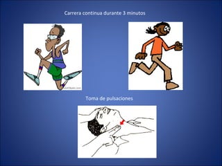 Toma de pulsaciones Carrera continua durante 3 minutos 