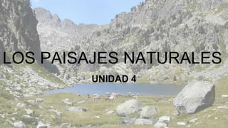 LOS PAISAJES NATURALES
UNIDAD 4
 