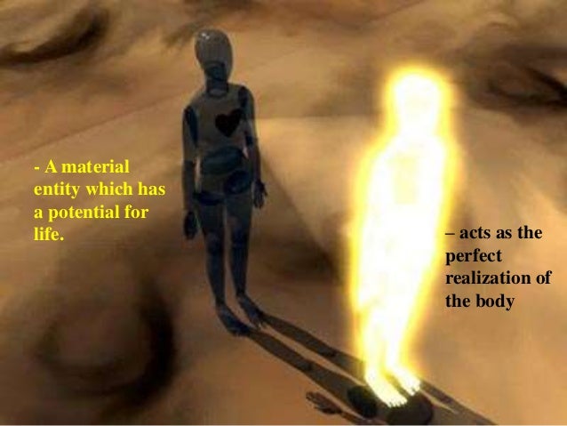 aristotle stoics issue of soul philosophy of man form philosophy