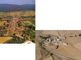 3.2. Paisaje agrario de interior
 REGADÍO: agricultura intensiva. Antiguamente se limitaba a las vegas de los ríos (escasa producción;
autoconsumo). Actualmente se ha extendido mucho gracias al uso de agua embalsada y subterránea. En
ellos se cultivan:
• Productos hortofrutícolas  base de una importante industria conservera en el Valle del Ebro (Navarra,
La Rioja y Aragón).
• Forrajes (maíz, alfalfa)
• Cultivos industriales (remolacha, tabaco)
 