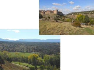 3.2. Paisaje agrario de interior
 GANADERÍA: importante en ciertas zonas:
o Secanos (Meseta y Aragón)  ganadería ovina extensiva, que pasta en los rastrojos.
o Forrajes (CyL y Andalucía)  ganadería bovina extensiva
o Dehesas occidentales (Extremadura, Salamanca, Zamora…)  explotaciones extensivas:
bovino + porcino + ovino
o Cerca de los núcleos urbanos (ej: Segovia para abastecer a Madrid)  explotaciones industriales intensivas:
bovino (de aptitud lechera) + porcino + avícola
 EXPLOTACIÓN FORESTAL: típica de alguna áreas, como la Tierra de Tinares (Soria).
 