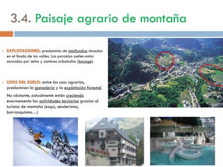 Cítricos
levantinos
 