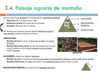 Fruticultura
mediterránea
 