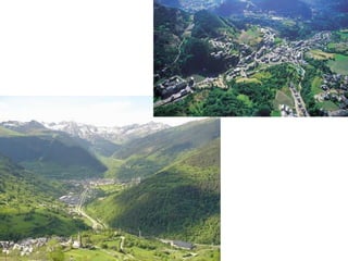 Hoyas de Málaga-Granada.
Cultivo de frutos tropicales
(chirimoya, aguacate,…)
Plantación de aguacate
 