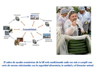Diversificación de actividades en el entorno
rural, y creación de cooperativas para
competir con las grandes multinacionales y
paliar la dependencia del campo en la
industria.
 