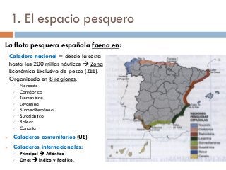1. El espacio pesquero
La flota pesquera española faena en:
 Caladero nacional = desde la costa
hasta las 200 millas náuticas  Zona
Económica Exclusiva de pesca (ZEE).
Organizado en 8 regiones:
 Noroeste
 Cantábrica
 Tramontana
 Levantina
 Surmediterránea
 Suratlántica
 Balear
 Canaria
 Caladeros comunitarios (UE)
 Caladeros internacionales:
 Principal  Atlántico
 Otros  Índico y Pacífico.
 