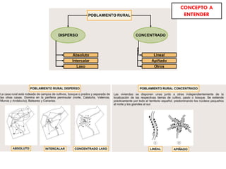 A.Política agraria desde mediados del siglo XIX hasta la PAC (1986):
Se centró en 4 aspectos:
 Sistema de propiedad de la tierra: se intentó evitar la concentración de la tierra
en unas pocas manos y repartirla entre pequeños agricultores (ej:
desamortizaciones). Poco éxito.
 Inadecuado tamaño de las explotaciones: medidas para modificarlo:
• La concentración parcelaria: pretende disminuir el minifundio y la dispersión parcelaria.
Iniciada en 1952 (sigue actualmente).
• La legislación sobre grandes fincas (“sobre fincas manifiestamente mejorables”):
pretende evitar la existencia de latifundios incultos u subexplotados. Obliga a presentar
un plan de mejora, cuyo incumplimiento puede llevar al arrendamiento forzoso. Iniciada
durante el Franquismo (modificada en 1979; sigue vigente).
 El proteccionismo comercial: aranceles a productos agrarios extranjeros.
 El aumento de los rendimientos: mediante mejoras técnicas y extensión del
regadío.
 