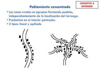  Las distintas regiones españolas se vieron afectadas de forma distinta por la
PAC:
 Negativamente: zonas especializadas en productos excedentarios en la UE:
 Cornisa cantábrica  ganadería bovina (leche y carne de vacuno).
 Interior peninsular  cereales y viñedos.
 Positivamente: zonas especializadas en productos deficitarios en la UE:
 Litoral mediterráneo y andaluz  productos hortofrutícolas.
 
