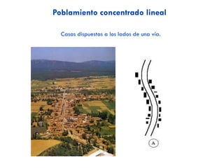 VIDEO REFORMA PAC 2013
 