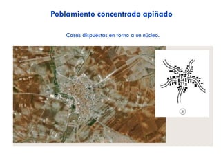  Actualmente: tras las últimas reformas (2003, 2013), los principales objetivos
que persigue la PAC son:
OBJETIVOS ACTUALES
DE LA PAC
Lograr una actividad agraria
sostenible  las ayudas están
condicionadas al cumplimiento de
unas normas medioambientales, de
seguridad alimentaria y de
bienestar animal. Además, se
establece un “pago verde” para los
agricultores que lleven a cabo
prácticas beneficiosas para el
medio ambiente adicionales.
Fomentar el
desarrollo rural 
fondos destinados
al desarrollo, la
creación de empleo
y la diversificación
económica de las
regiones agrarias
para mantener a la
población en el
mundo rural.
Aumentar la competitividad del
sector agrario de la UE 
para ello se establecen unas
ayudas directas (“pago
básico”) a los agricultores
desvinculadas de la
producción (ayudas directas
independientemente del
volumen y tipo de producción;
se pretende que los
agricultores de la UE adopten
una orientación más de
mercado, sin perder la
necesaria estabilidad de sus
ingresos).
 