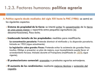 2.1. AGRICULTURA (actividad agrícola)
Agricultura tradicional
 Policultivo
 Técnicas atrasadas
 Sistemas de cultivo
extensivos.
 Bajos rendimientos
 Producción destinada al
autoconsumo o mercado
nacional.
Agricultura actual
ha experimentado importantes transformaciones
(especialización, tecnificación, intensificación)
que han permitido:
 Incrementar los rendimientos
 Orientar la producción a la venta en el
mercado internacional.
 