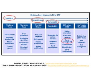 Un ejemplo claro del
paisaje de invernaderos
se puede encontrar en los
municipios almerienses
de El Ejido y Níjar.
Este tipo de cultivo bajo
plástico se basó casi al
100%, en invernaderos
tipo "parral" (también
conocidos como “malla
sombra” o “casa
sombra”)
Campo de Almería, Vista Satélite
Vista interior de un “parral” almeriense.
 